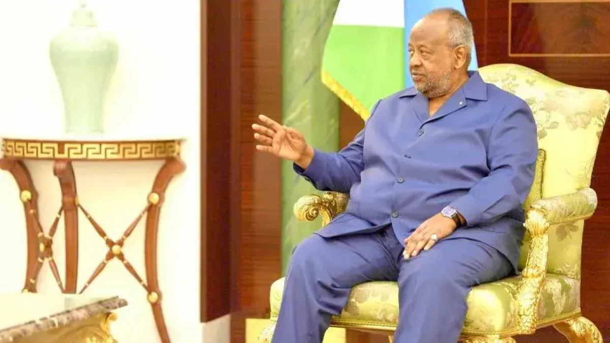 رئيس جيبوتي يؤكد حرصه على تأمين البحر الأحمر وتذليل العقبات أمام التجارة الدولية