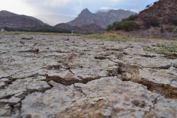 تقرير: التغير المناخي يربك المزارعين اليمنيين ويهدر مواسم المحاصيل