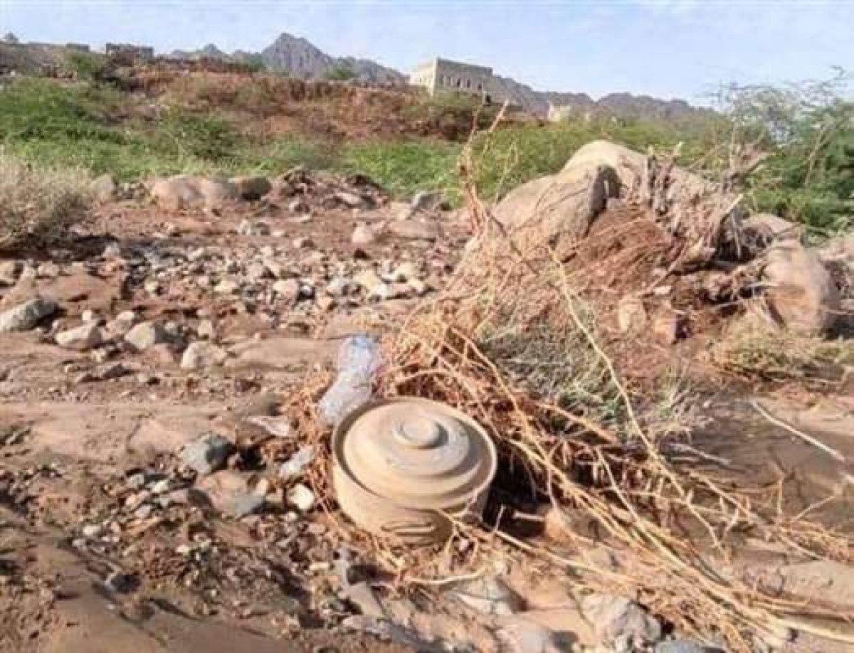 الحديدة : إصابة مواطن وزوجته بانفجار لغم حوثي في الدريهمي