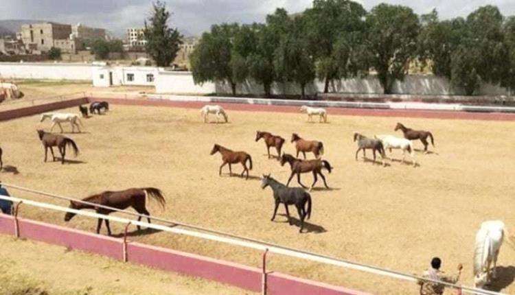 وزير حوثي يبيع نادي الفروسية ويحول فناء الوزارة إلى ملكية خاصة