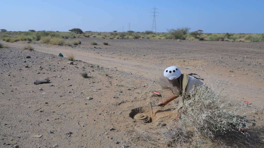 مقتل شخص وطفله بانفجار لغم حوثي في الحديدة