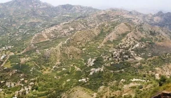 تحركات حوثية مشبوهة بين شرعب والحديدة وسط شكوك حول تهريب أسلحة