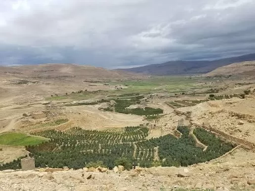 الحوثيون يختطفون مزارعين خلال حملة لمصادرة أراضي المواطنين في عمران