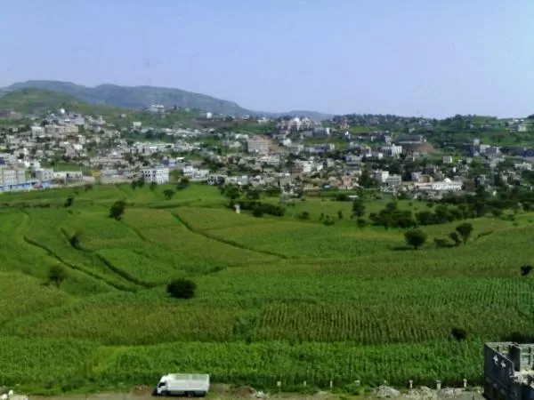 الحوثيون يفرضون جبايات قسرية على مزارعي البطاط ومربي النحل في إب